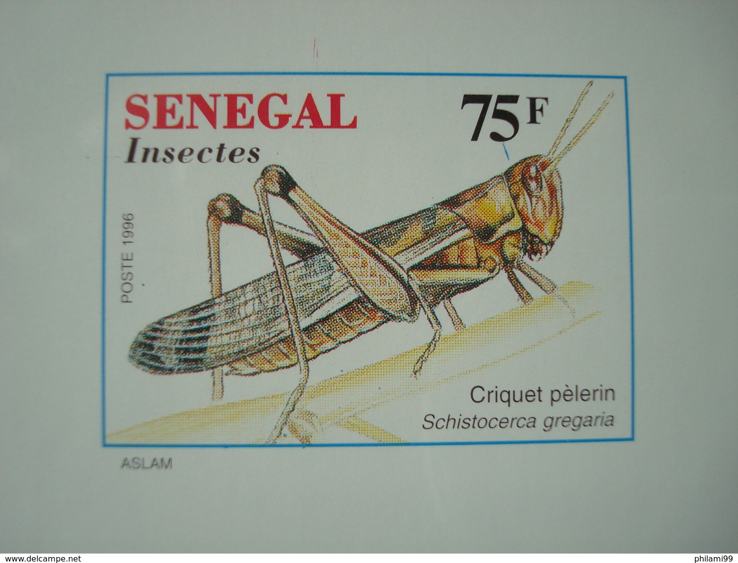 SENEGAL 1996 INSECTS 5 LUXE PROOFS - Sénégal (1960-...)