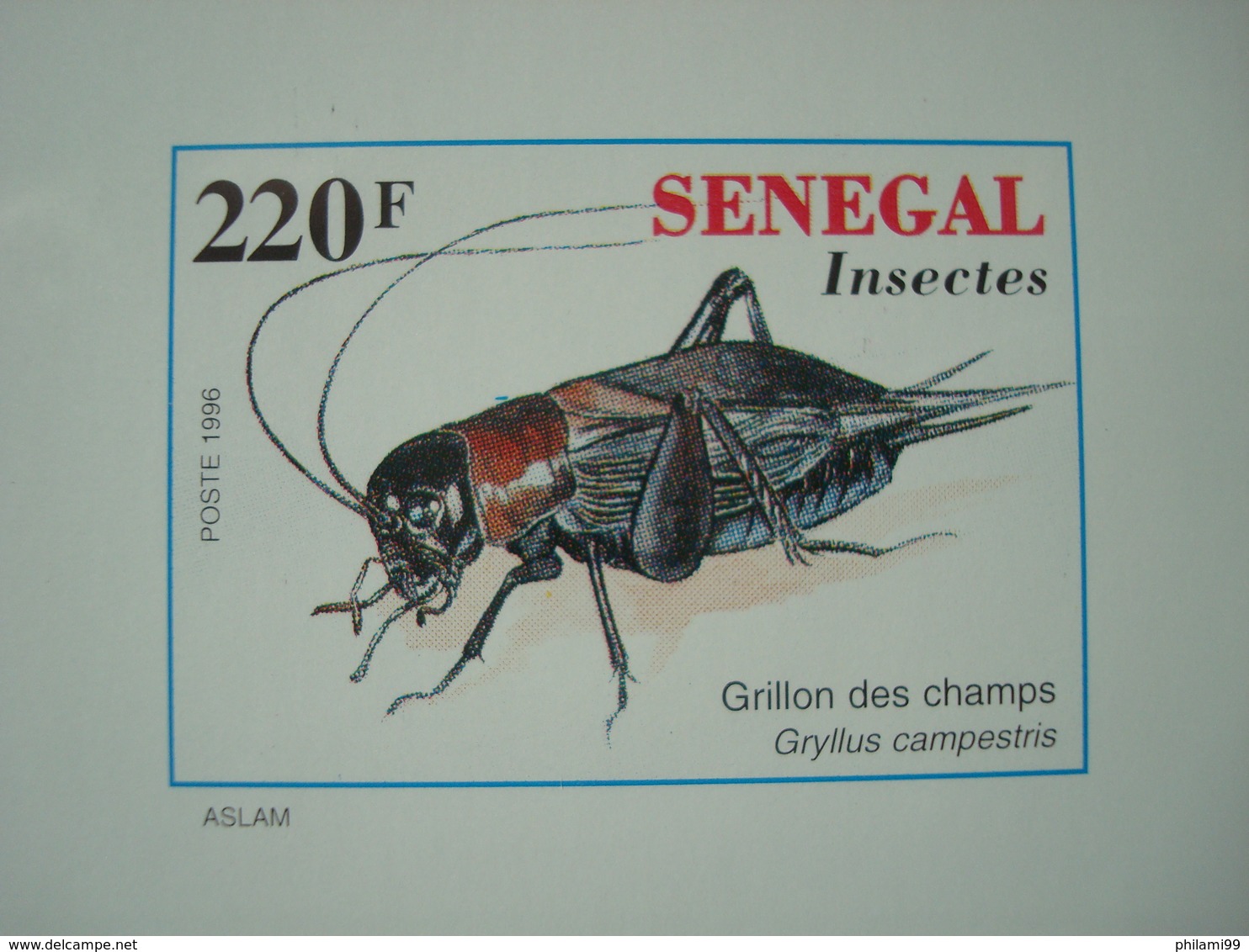 SENEGAL 1996 INSECTS 5 LUXE PROOFS - Sénégal (1960-...)