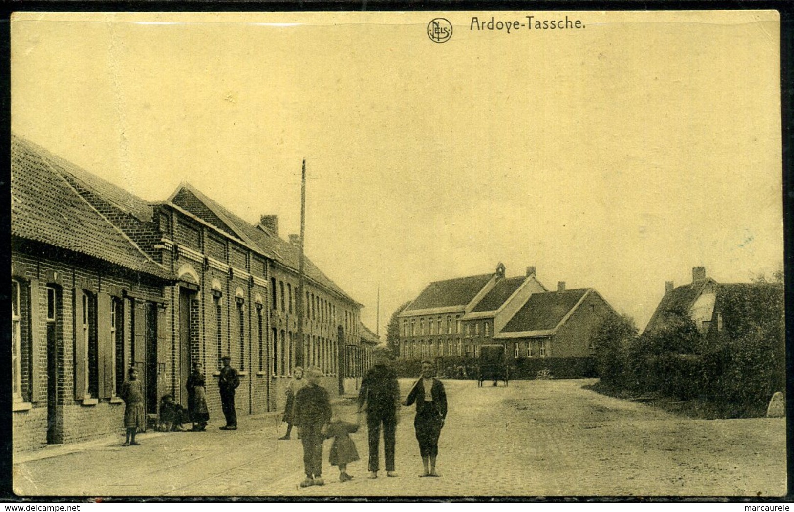 Belgique  Ardoye- Tassche   Rue Du Village,  Animée - Andere & Zonder Classificatie