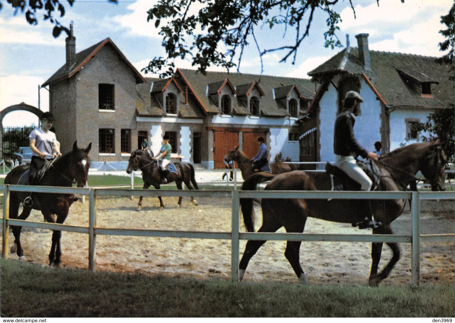 Cerisiers - Haras De Villechétive - Centre Equestre Daniel Doyen - Le Paddock - Chevaux - Cerisiers