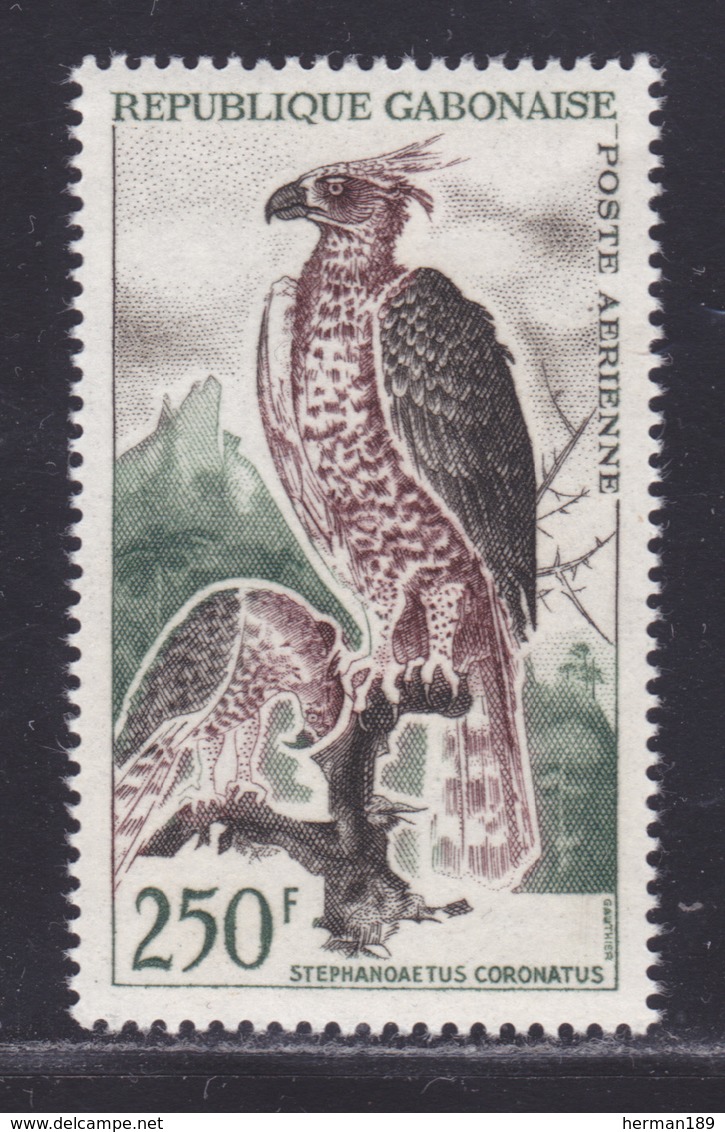 GABON AERIENS N°   15A ** MNH Neuf Sans Charnière, TB (D8542) Oiseaux, Aigle 1963-64 - Gabon (1960-...)