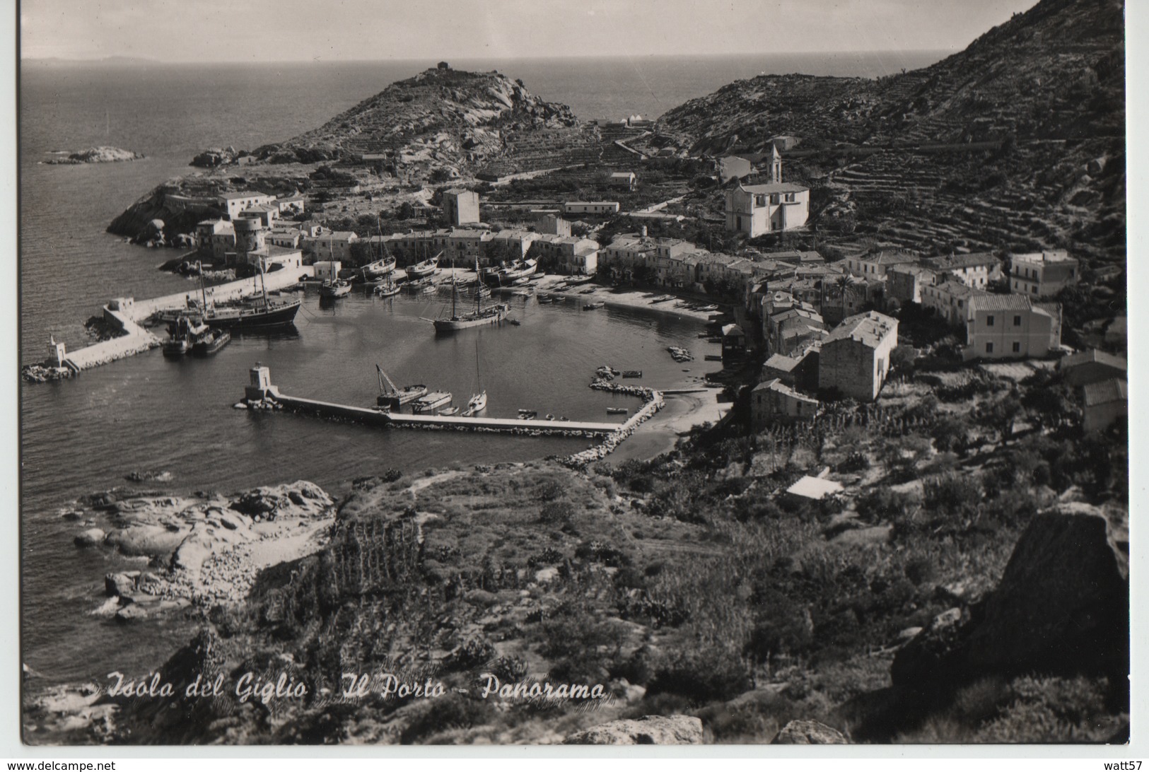 2 Cartoline Isola Del Giglio - Grosseto