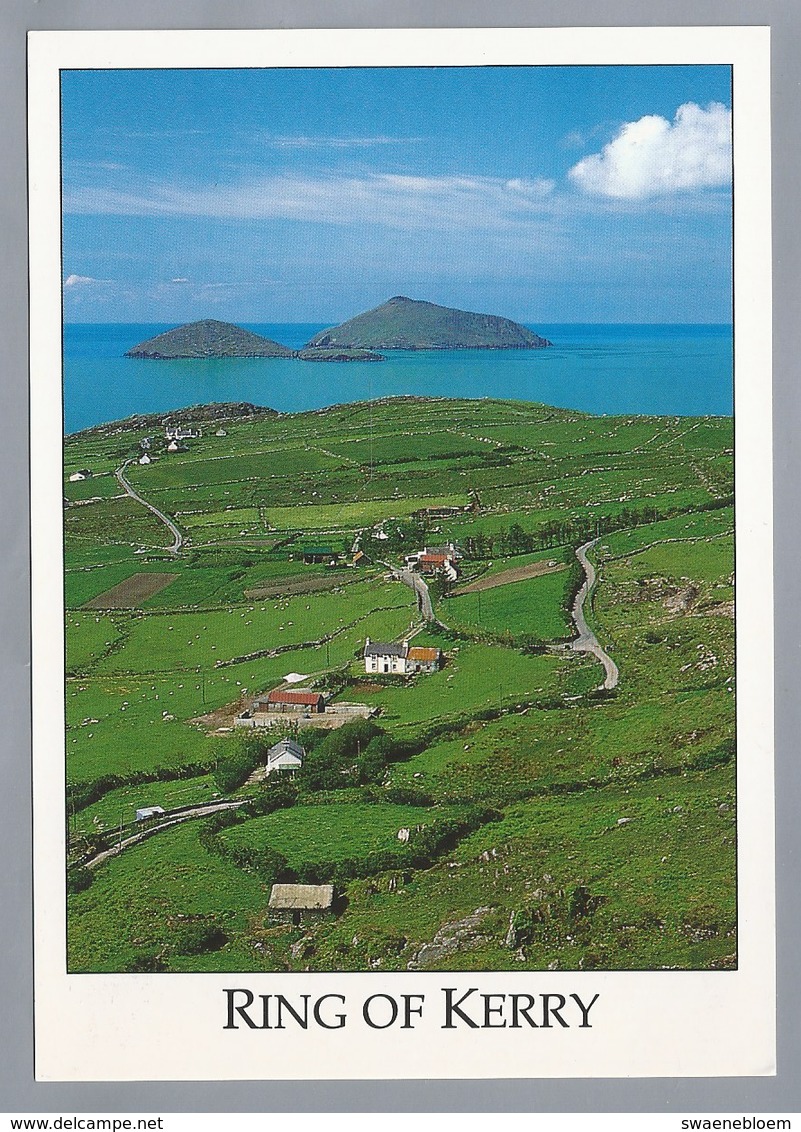 IE. IERLAND. IRELAND. RING OF KERRY. View Across Derrynane Bay To Scariff And Deenish Islands From Coomakista Pass - Andere & Zonder Classificatie