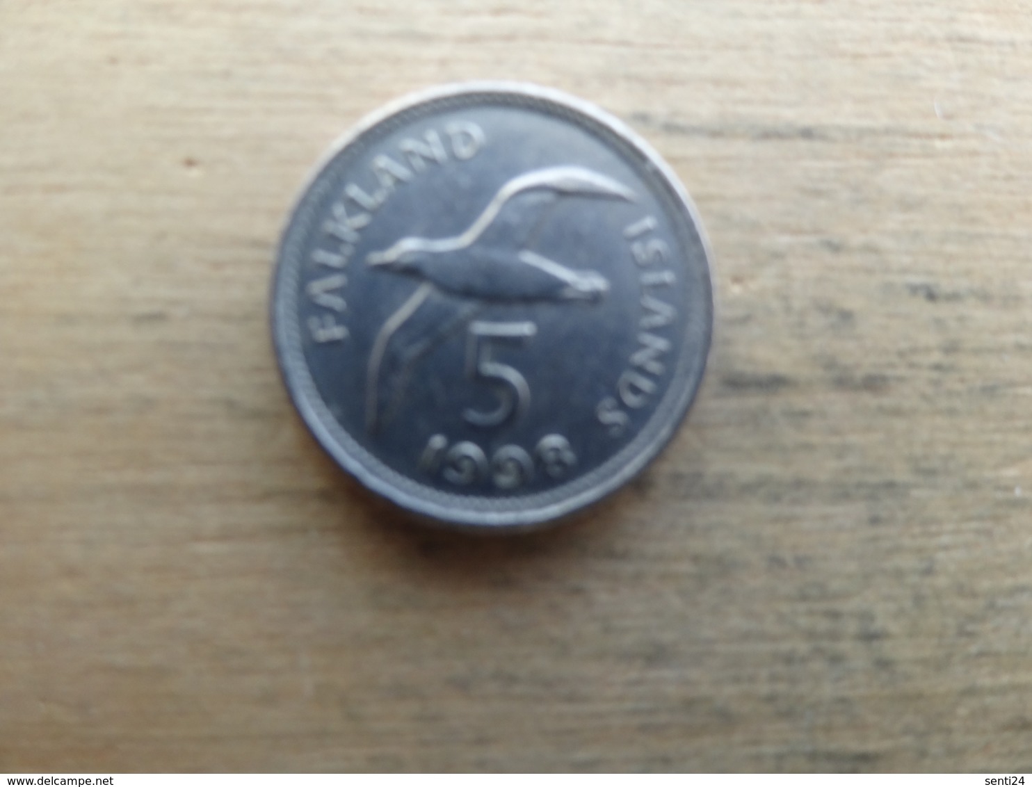 Falkland  5  Pence  1998  Km 4.2 - Falkland