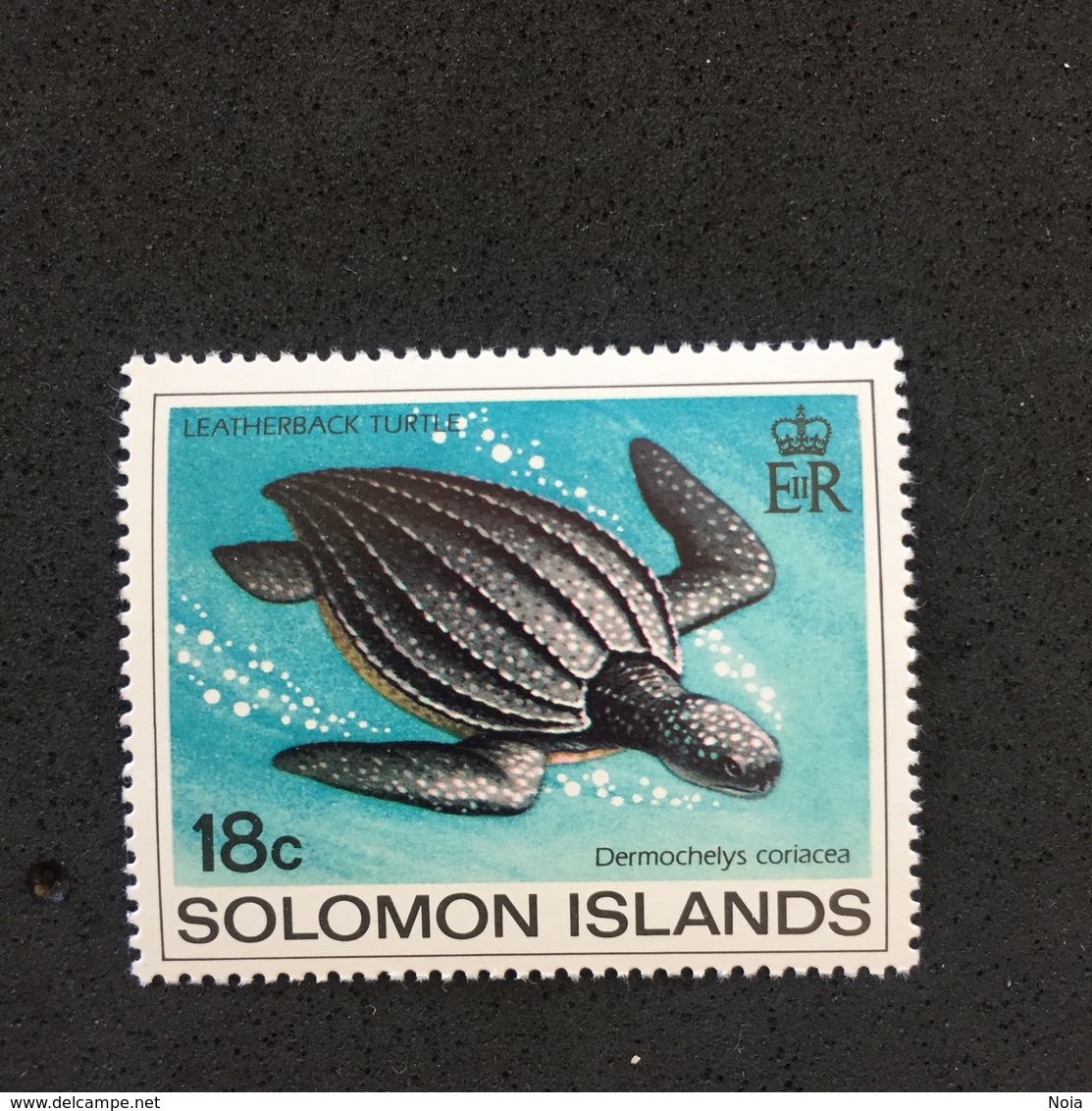 SOLOMON ISLANDS. TURTLES. MNH (C2701B) - Turtles