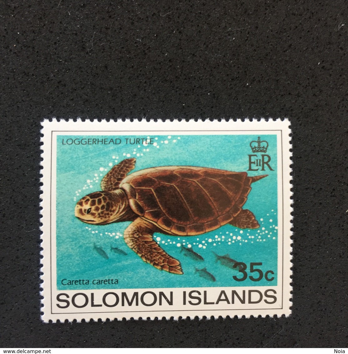 SOLOMON ISLANDS. TURTLES. MNH (C2701C) - Turtles