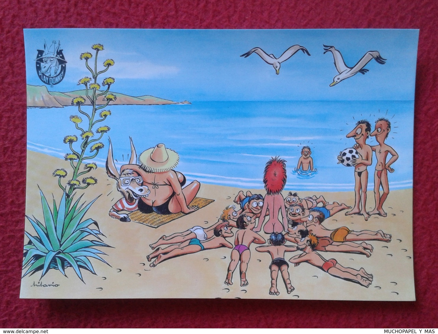 POSTAL POST CARD CARTE POSTALE BALEARIC ISLANDS SPAIN BURRO BURRITO PLAY DONKEY ASNO ÂNE ASINO CARTOON HUMOR EROTIC VER - Asino