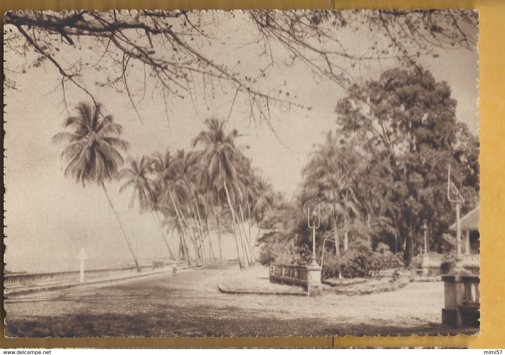 C.P.M. CONAKRY - La Corniche - Guinée