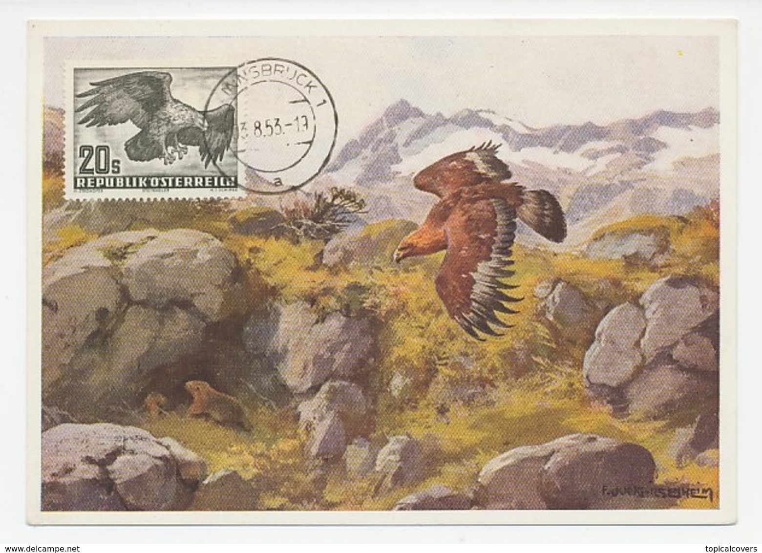 Maximum Card Austria 1953 Bird Of Prey - Eagle - Altri & Non Classificati