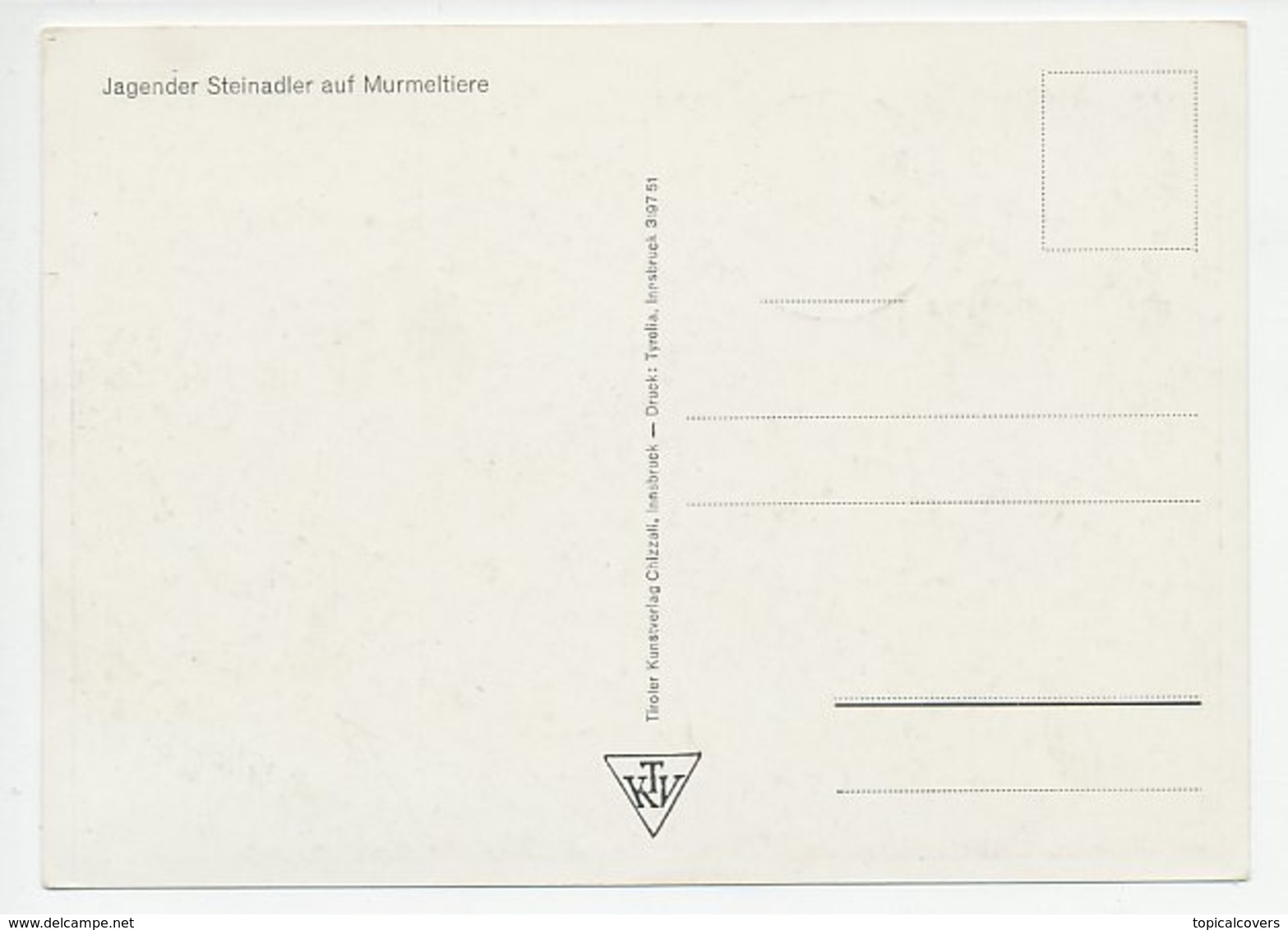 Maximum Card Austria 1953 Bird Of Prey - Eagle - Altri & Non Classificati