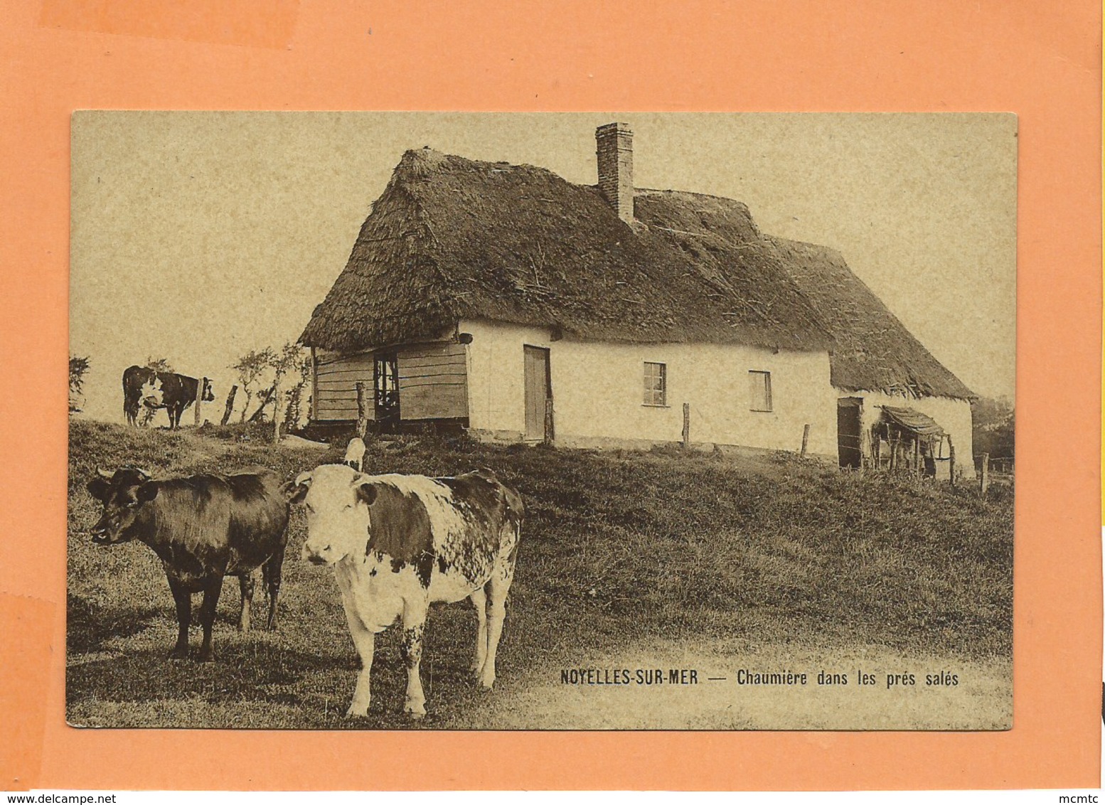 CPA  -  Noyelles Sur Mer  - Chaumière Dans Les Près Salés  -  ( Vache , Vaches ) - Noyelles-sur-Mer