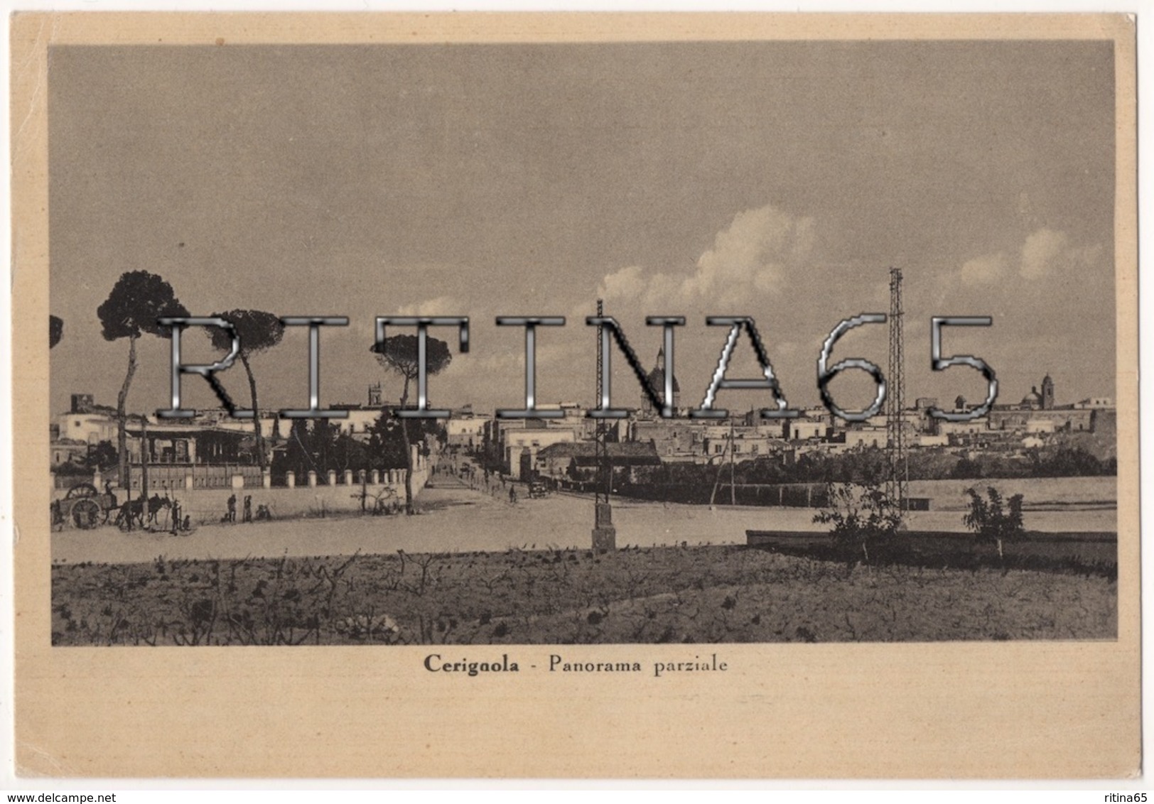 FG36 !!! CERIGNOLA PANORAMA PARZIALE 1952 F.G. !!! - Cerignola