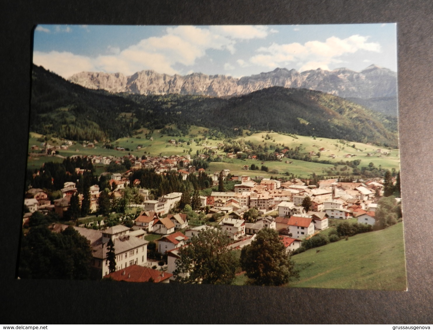 19882) DOLOMITI PRIMIERO VETTE FELTRINE CON IL M. PAVIONE PANORAMA NON VIAGGIATA - Trento