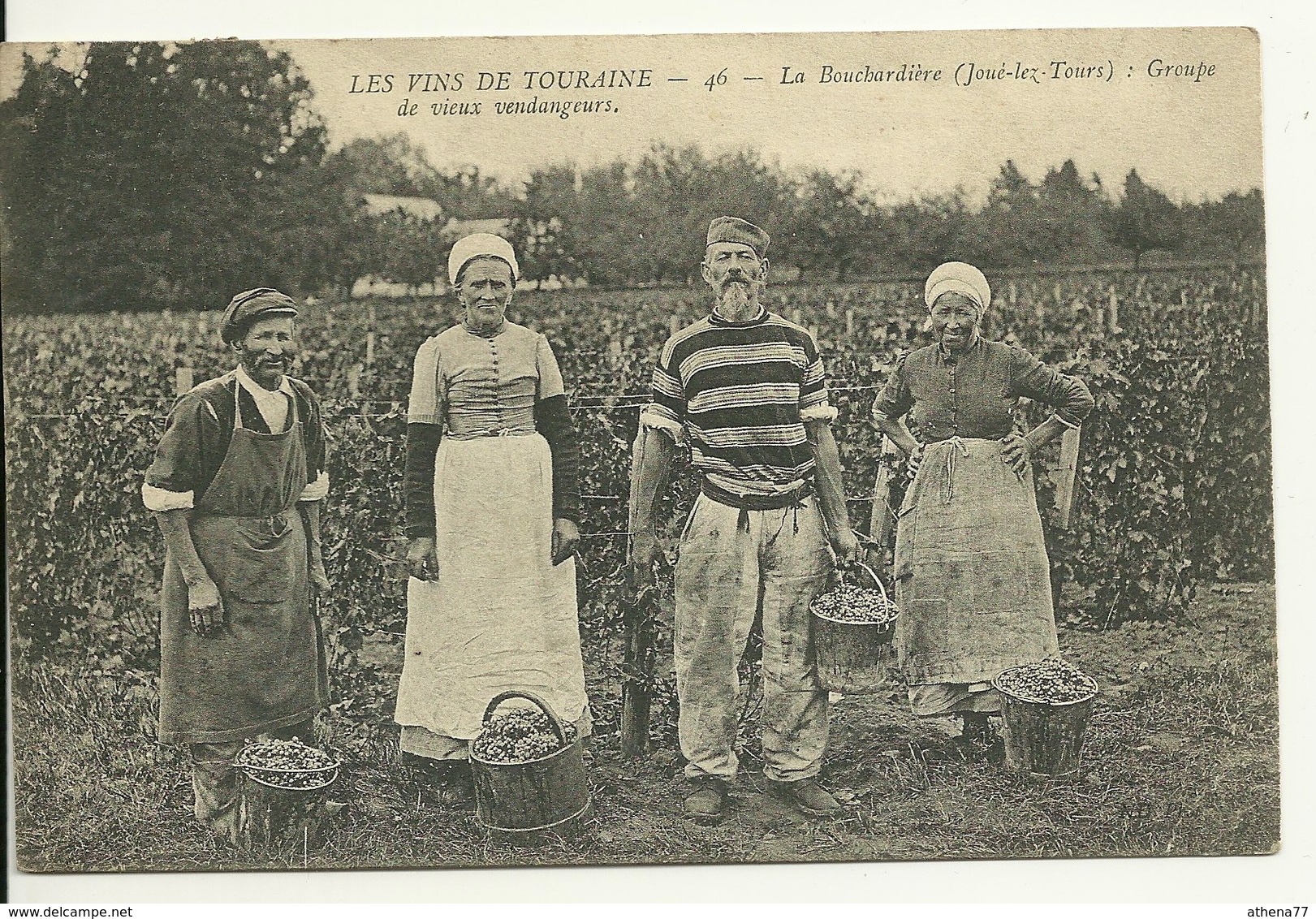 37 - LA BOUCHARIDERE (JOUE LEZ TOURS) / GROUPE DE VIEUX VENDANGEURS - Tours