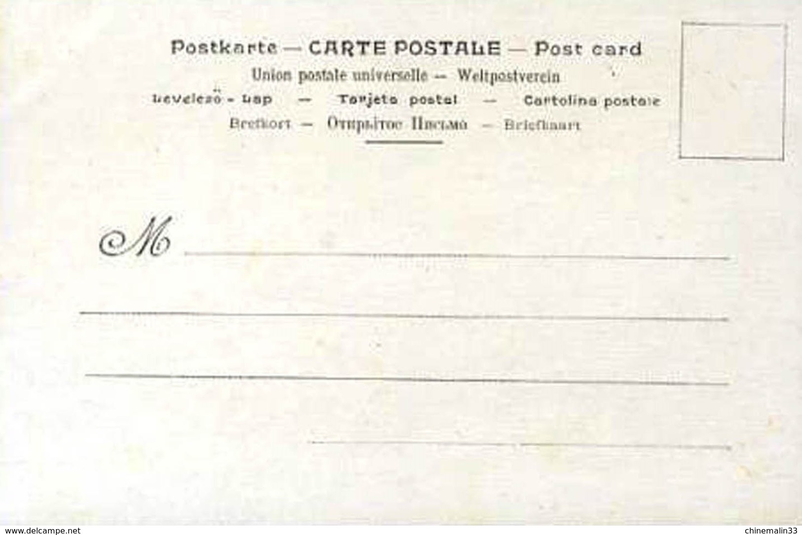 CARTE THÈME OISEAUX CANARD SOUCHET - Oiseaux