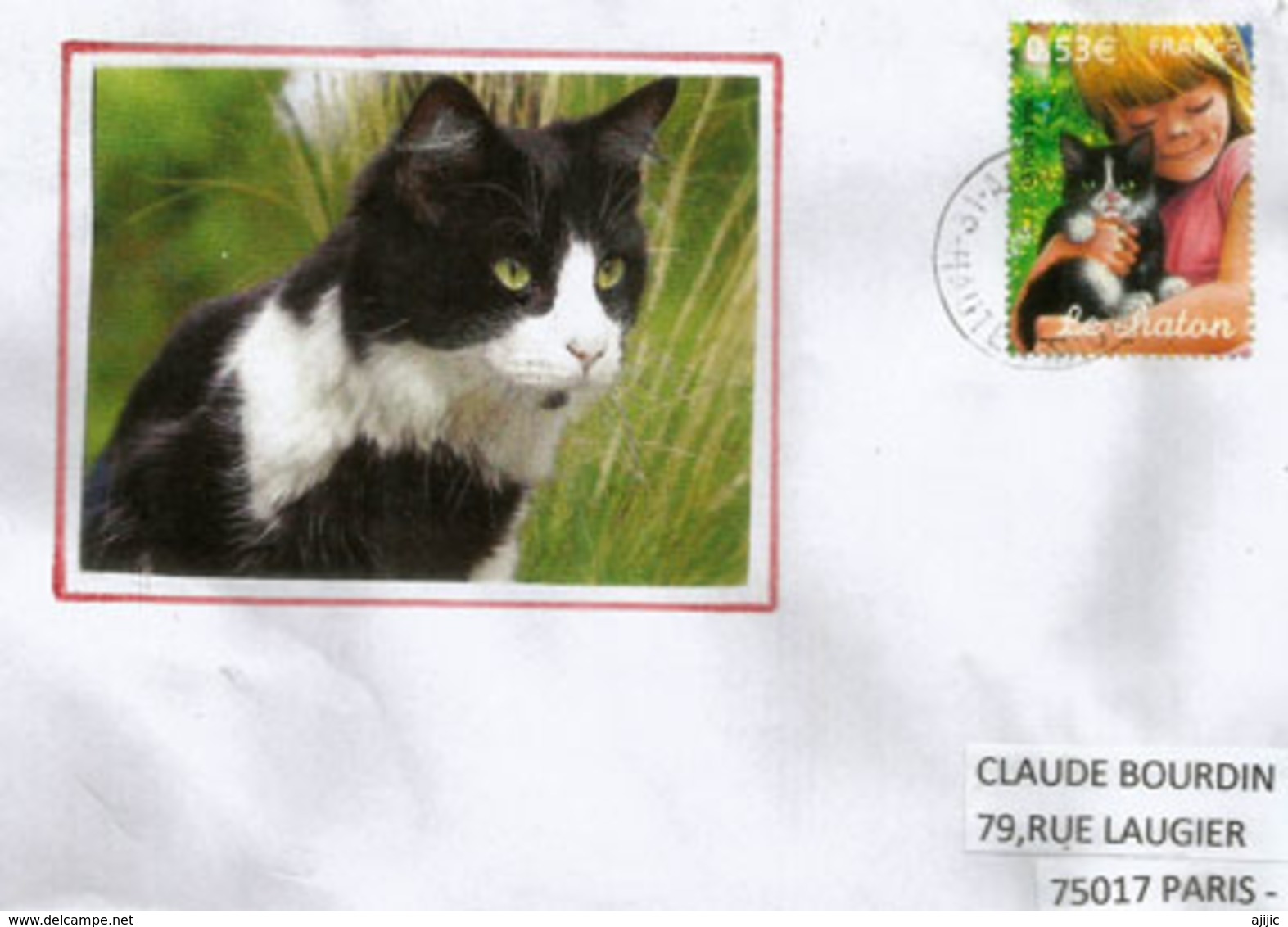 FRANCE.le Chaton, Sur Lettre De Haute Garonne - Autres & Non Classés