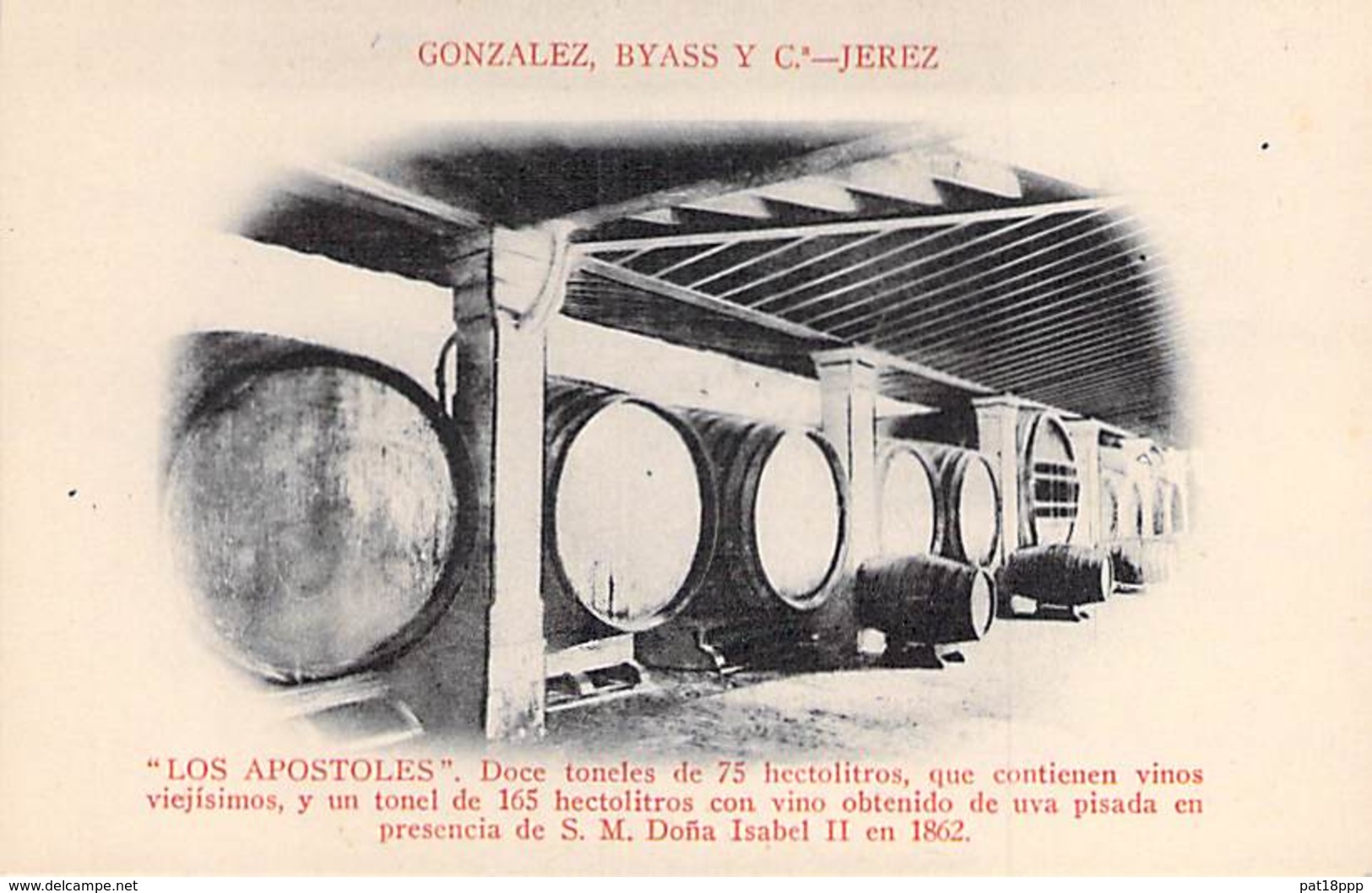 VIGNES Vin - GONZALEZ, BYASS Y - Vino De JEREZ : LOS APOSTOLES . Doce Toneles De 75 Hectolitros - CPA - - Vignes