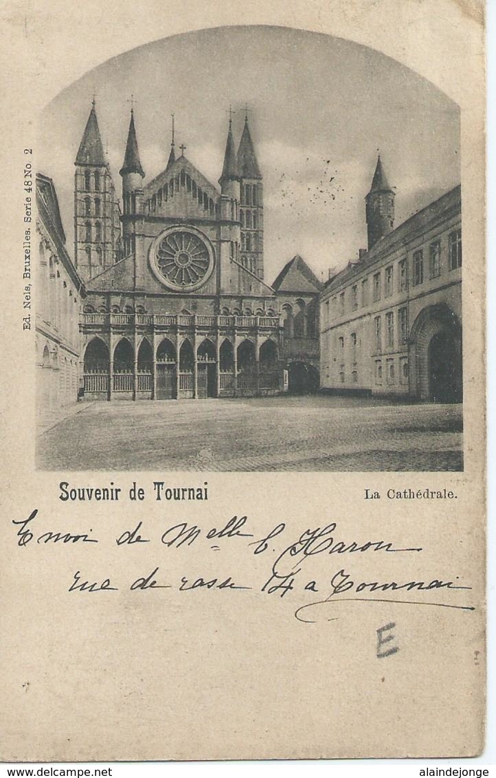 Doornik - Tournai - Souvenir De Tournai - La Cathédrale - Ed. Nls Série 48 No 2 - 1900 - Doornik