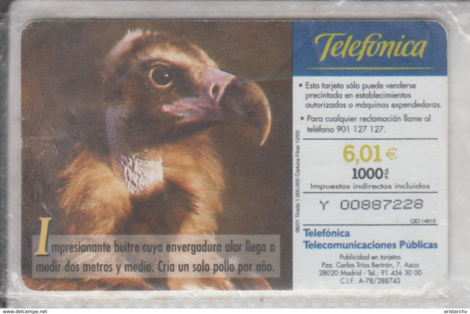 SPAIN 2001 FAUNA IBERICA BIRD BUITRE NEGRE VULTURE - Aquile & Rapaci Diurni