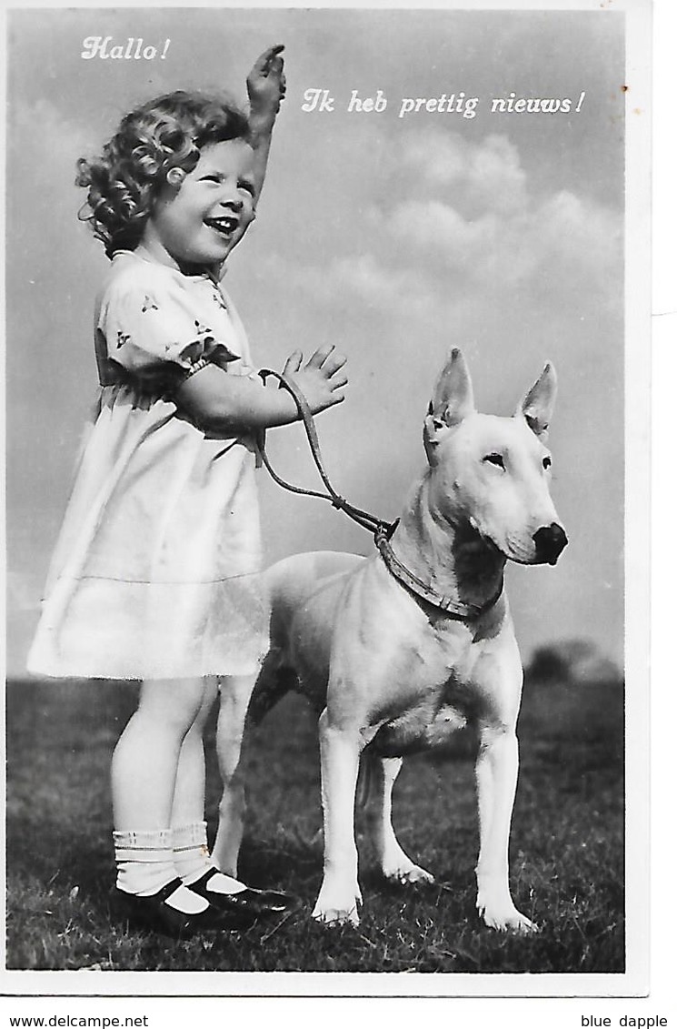 Bullterrier, Bull Terrier With Lovely Girl, Jolie Fille, Mädchen. Photocard - Chiens