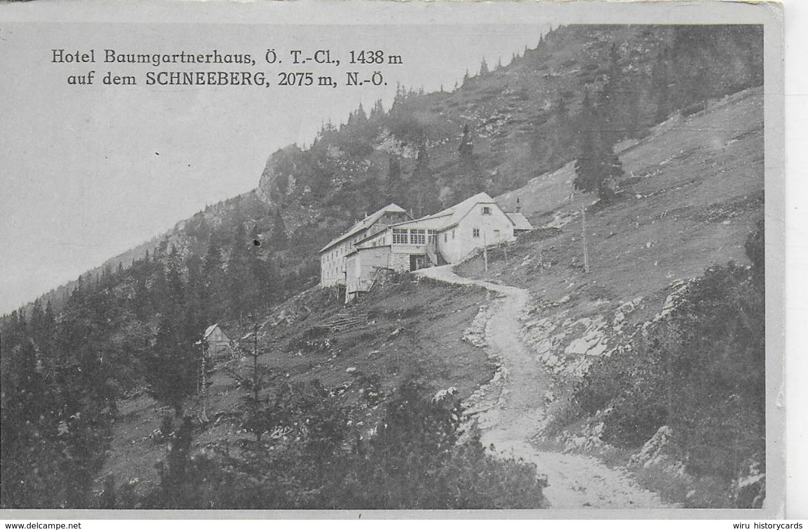 AK 0162  Schneeberg - Hotel Baumgartnerhaus / Verlag Reithmeyer Um 1910-20 - Schneeberggebiet