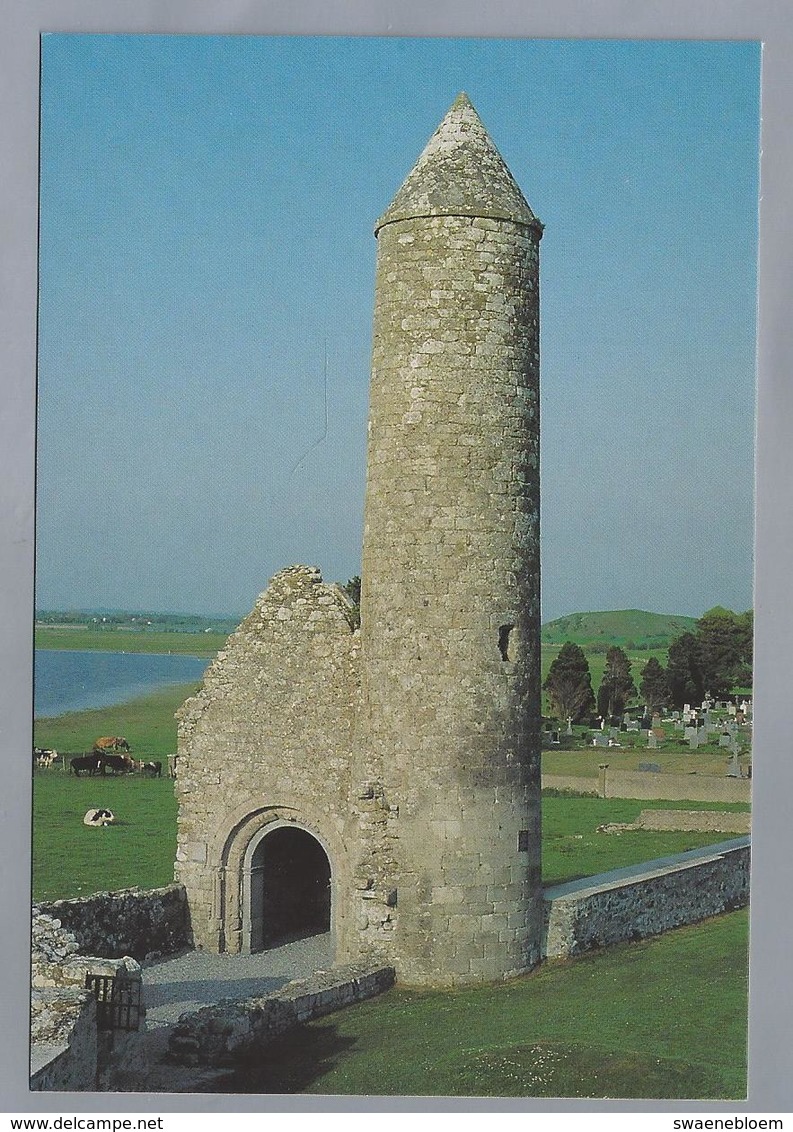 IE. IERLAND. IRELAND. CLONMACNOISE, CO OFFALY. Temple Finghin And Mac. Carthy's Tower. - Offaly