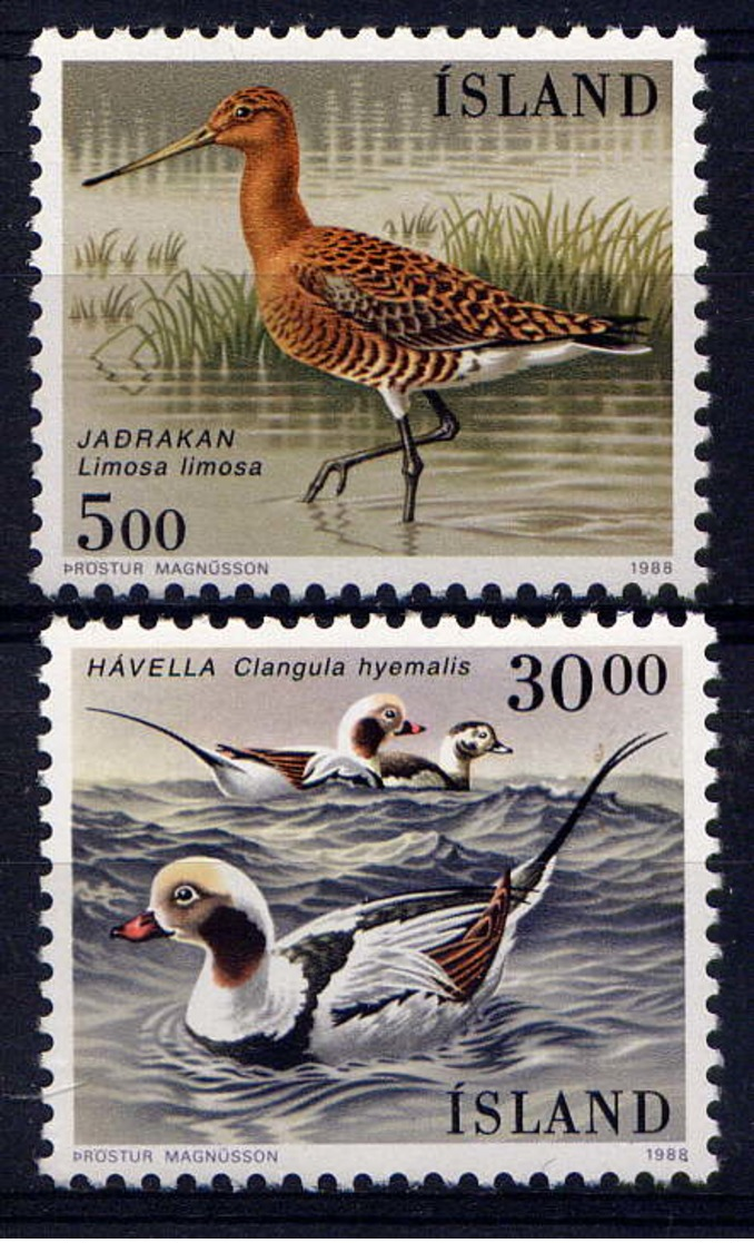 ISLANDE - 644/645** - OISEAUX - Neufs