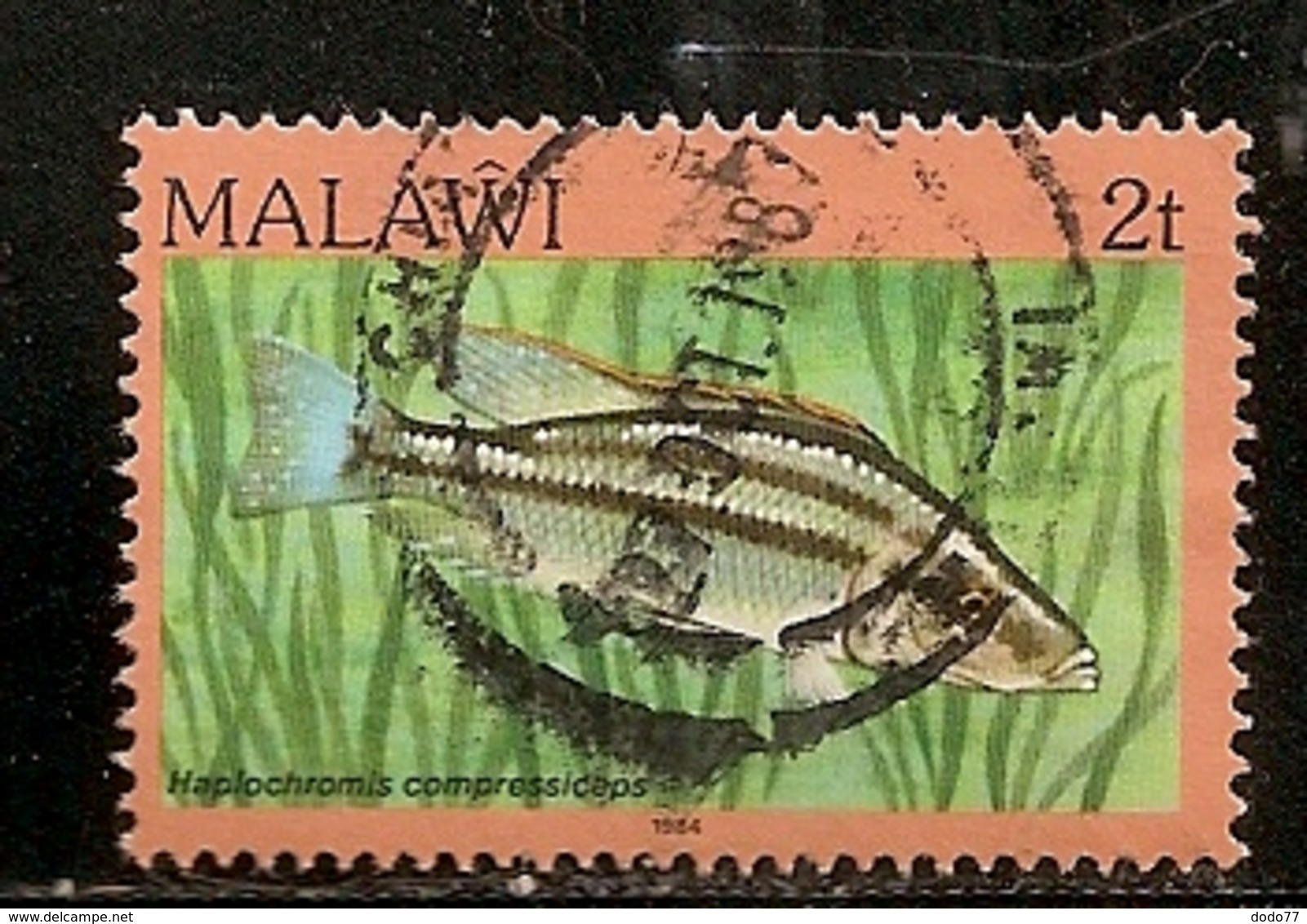 MALAWI    OBLITERE - Malawi (1964-...)