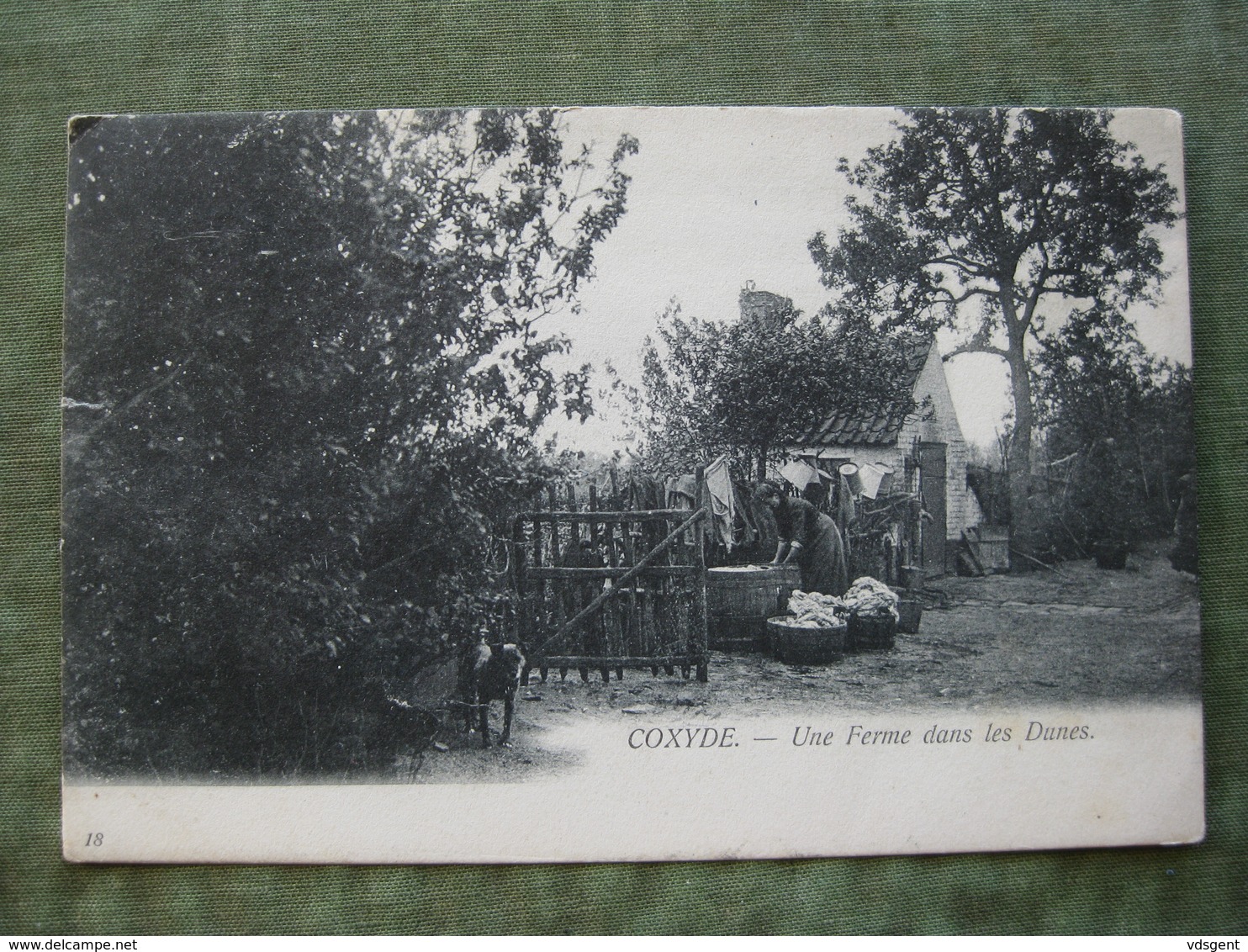 COXYDE - UNE FERME DANS LES DUNES 1907 ( Scan Recto/verso ) - Koksijde