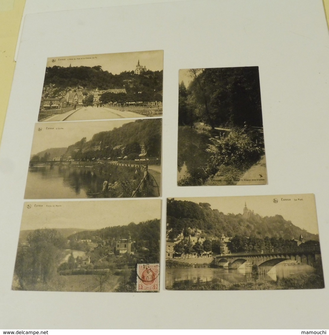ESNEUX - 5 Cartes : L'Ourthe, Etang Aux Truites,Hôtel Du Pont Et Château Fy, Fonds Martin, Le Pont - Esneux