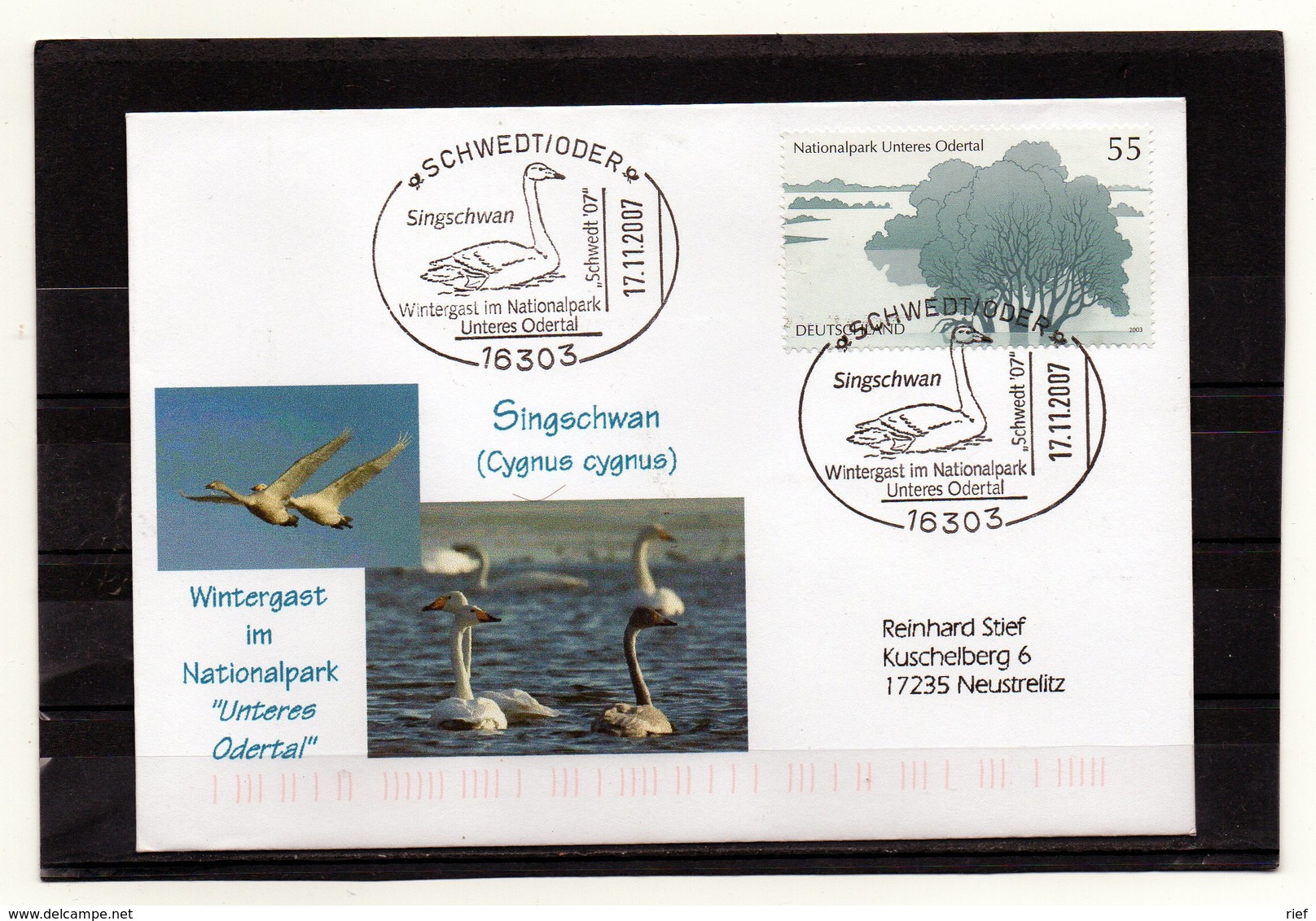 BRD, 2007, Brief (echt Gelaufen) Mit Michel 2343 Und Sonderstempel/Singschwan - Wintergast Im NP Unteres Odertal - Other & Unclassified