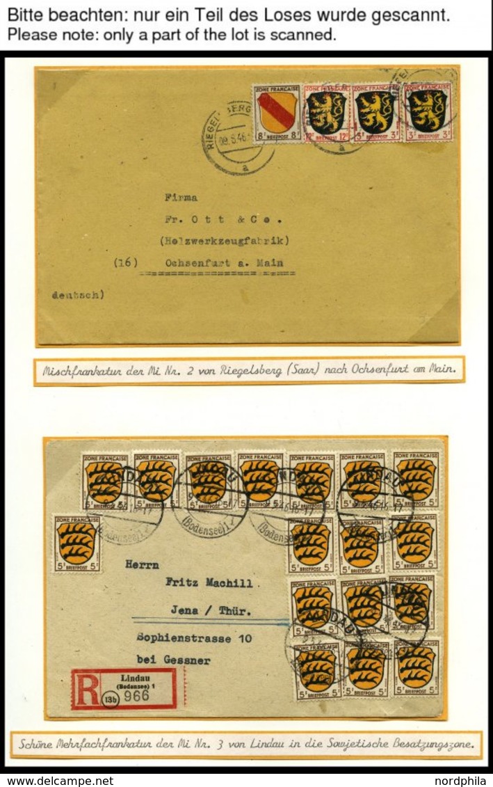 SAMMLUNGEN, LOTS *,**,o,Brief , Umfangreiche Sammlung Französische Zone Von 1945-49 Im SAFE Album Mit Verschiedenen Papi - Altri & Non Classificati