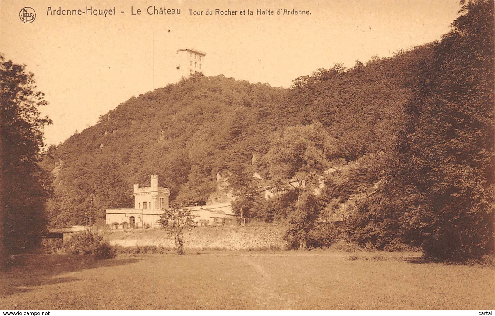 ARDENNE-HOUYET - Le Château - Tour Du Rocher Et La Halle D'Ardenne - Houyet