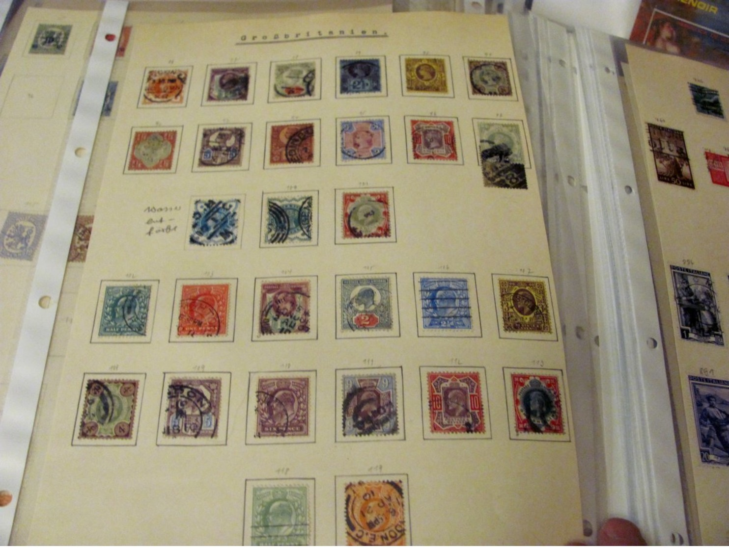 Carton with stamps in albums eastate many stamps MNH** All as shown