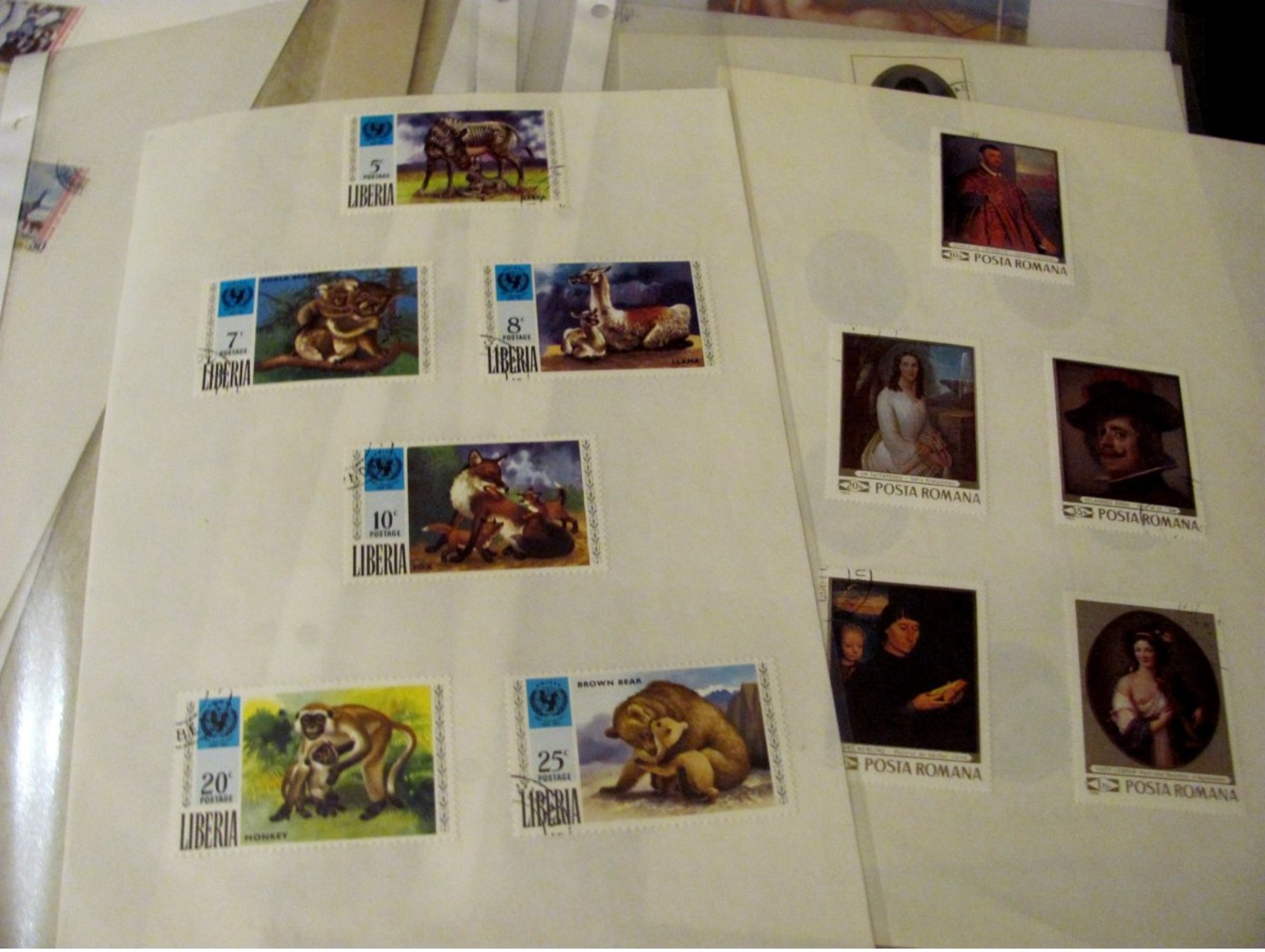 Carton with stamps in albums eastate many stamps MNH** All as shown