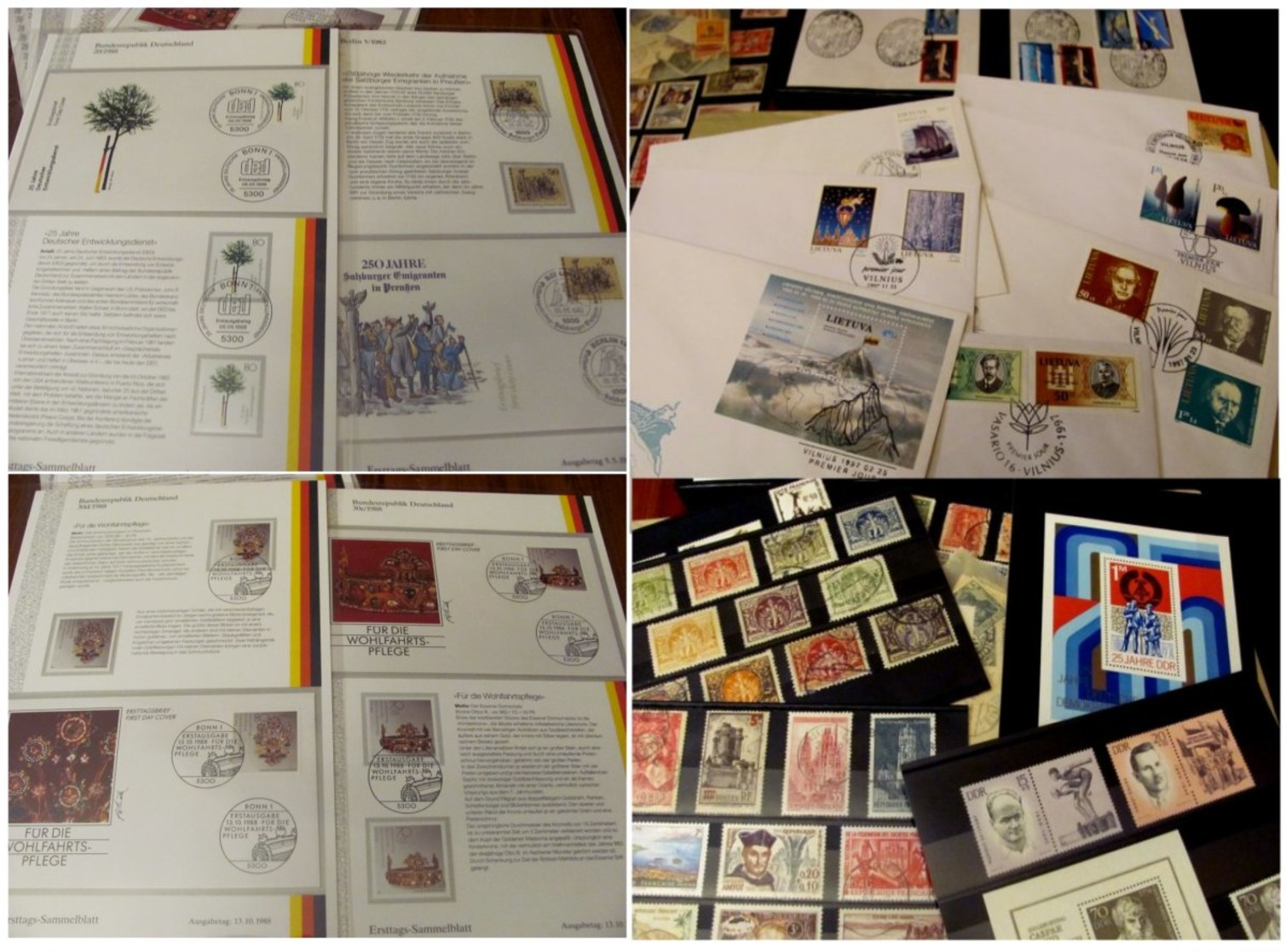 Carton with stamps in albums eastate many stamps MNH** All as shown