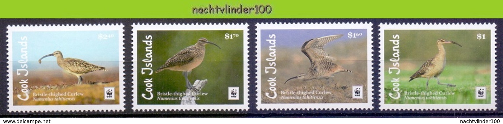 Nfa013s WWF FAUNA VOGELS BRISTLE-THIGHED CURLEW BIRDS VÖGEL AVES OISEAUX COOK ISLANDS 2017 PF/MNH - Ongebruikt