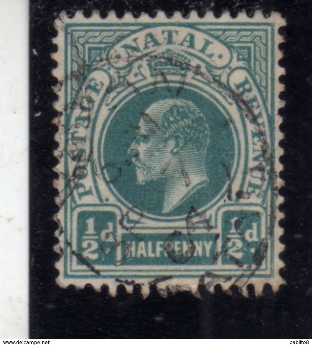 NATAL SOUTH AFRICA SUD AFRICA 1902 1903 KING EDWARD VII RE EDOARDO HALF PENNY 1/2p USATO USED OBLITERE' - Natal (1857-1909)