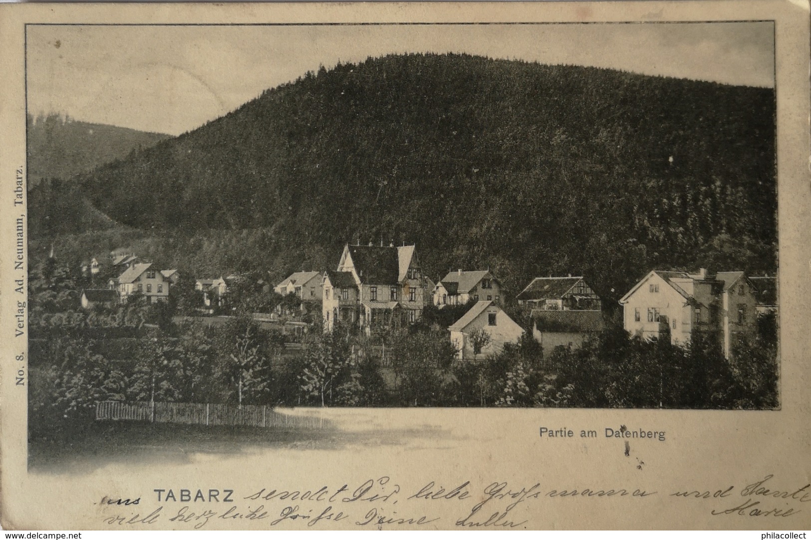 Tabarz // Partie Am D.... 1902 - Tabarz