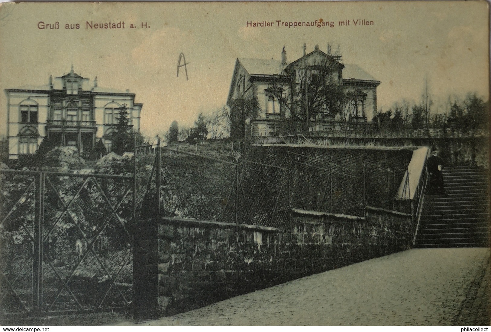 Neustadt A. H. // Gruss Aus // Treppenaufgang Mit Villen 1919 - Neustadt (Weinstr.)