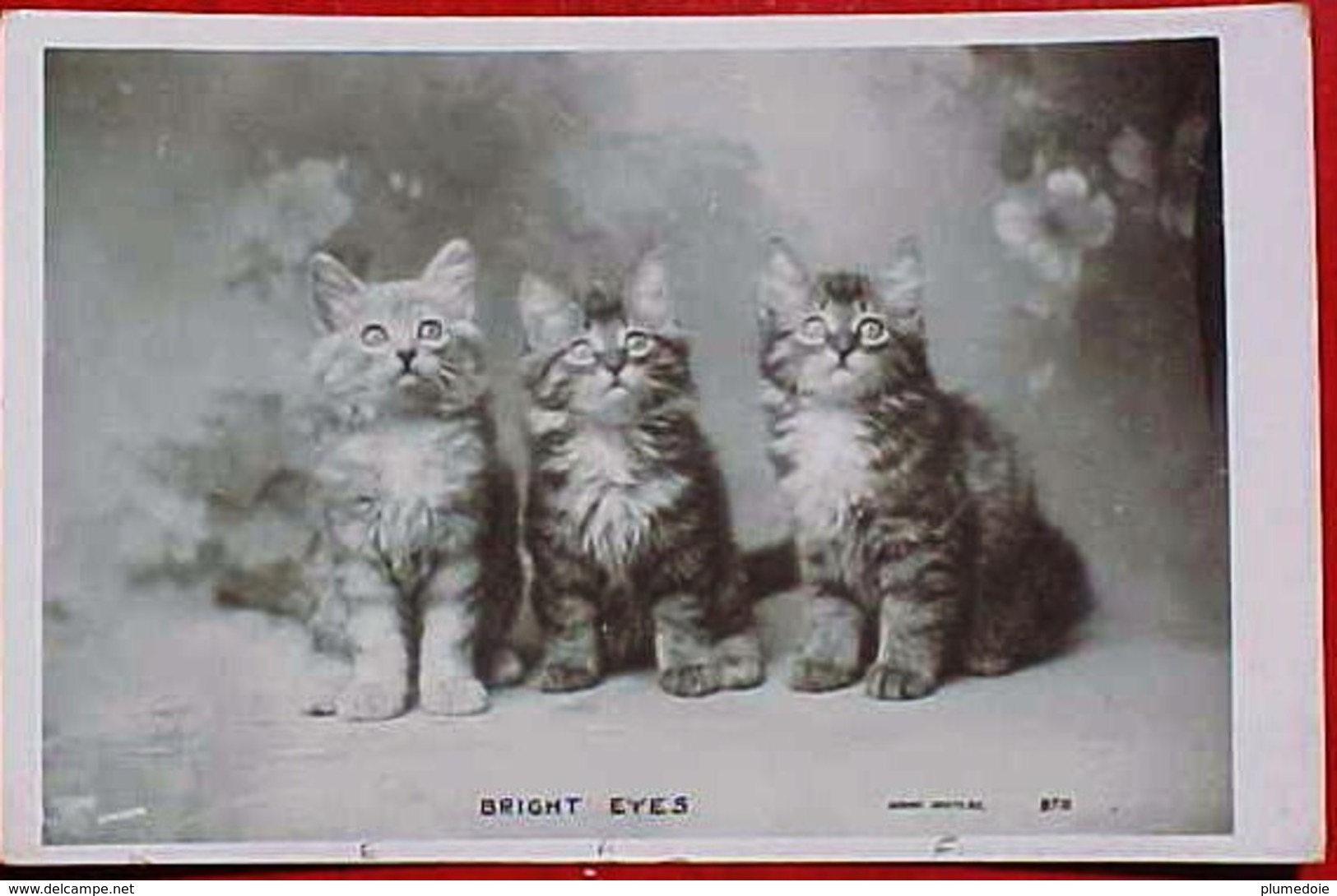 Cpa Chat , PETITS CHATS , CHATONS YEUX AU CIEL , 1905 , CAT . 3 CUTE KITTEN BRIGHT EYES   EDITEUR ROTARY PHOTO - Chats