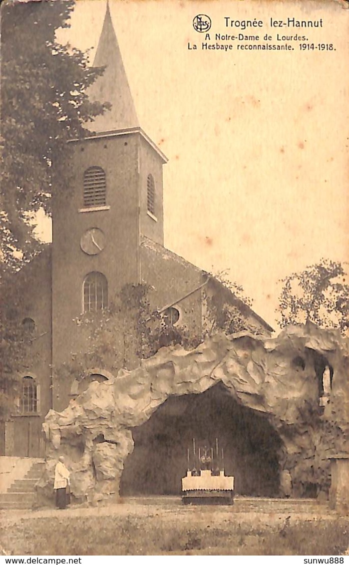 Trognée-lez-Hannut - A Notre Dame De Lourdes (animée, Cliché Th. Roosen) - Hannut