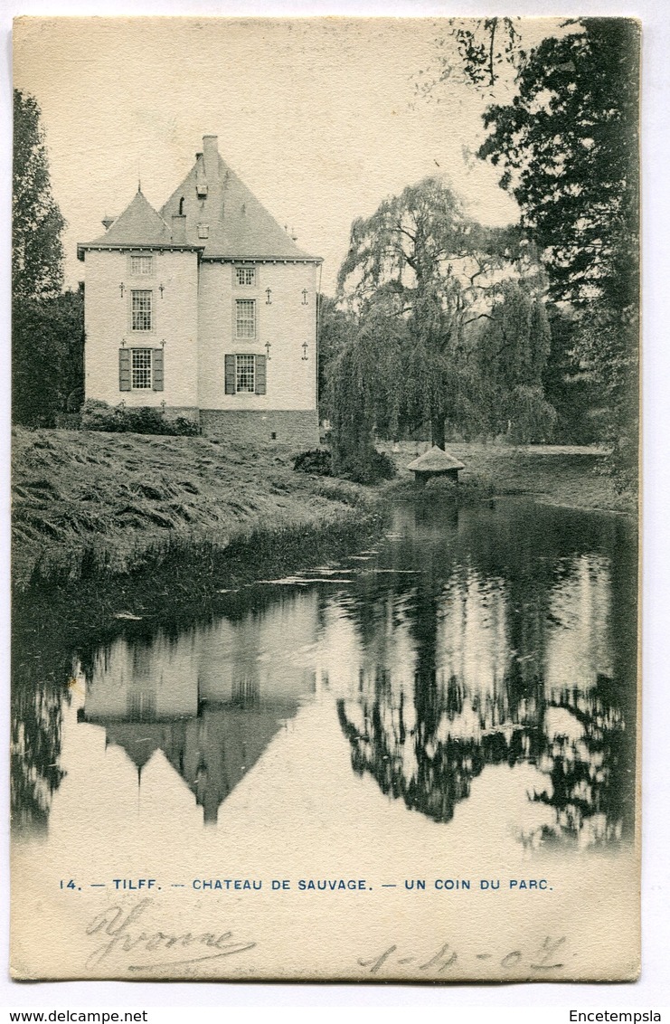 CPA - Carte Postale - Belgique - Tilff - Château De Sauvage - Un Coin Du Parc - 1907 ( M7352) - Esneux