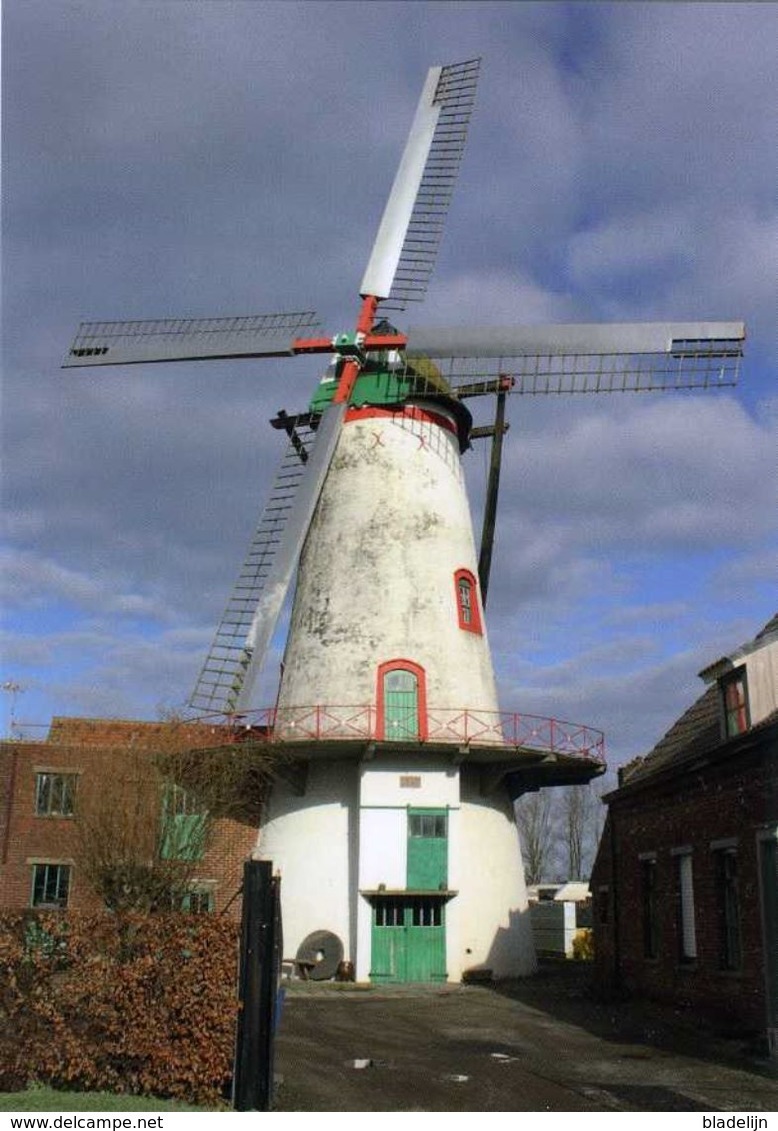 RUISELEDE (W.-Vl.) - Molen/moulin - Prachtige Opname Van De Knokmolen Met Verdekkerde Wieken (close-up) - Ruiselede