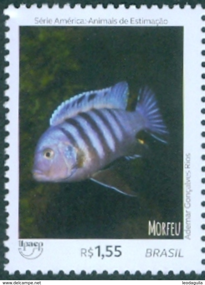 BRAZIL 2018  -  ORNAMENTAL  FISH -  DOMESTIC ANIMALS - PETS  - MINT - Unused Stamps