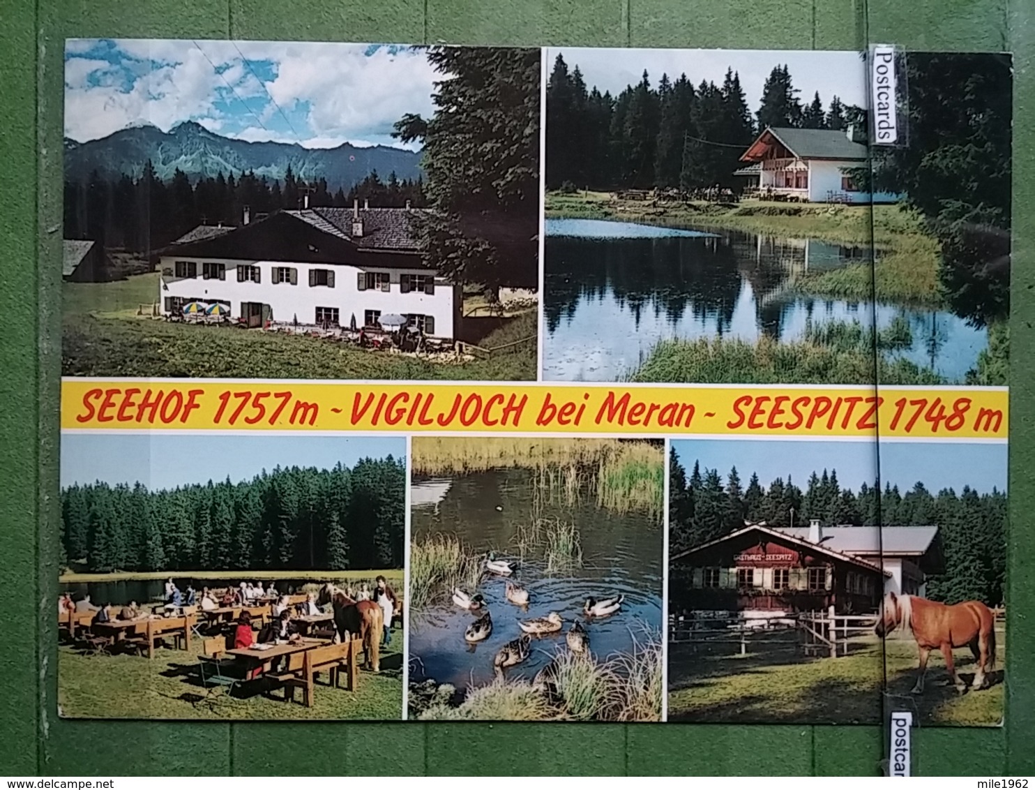 KOV 1144 - SEEHOF, SEESPITZ, VIGILJOCH BEI MERAN, HORSE, CHEVAL - Seehof