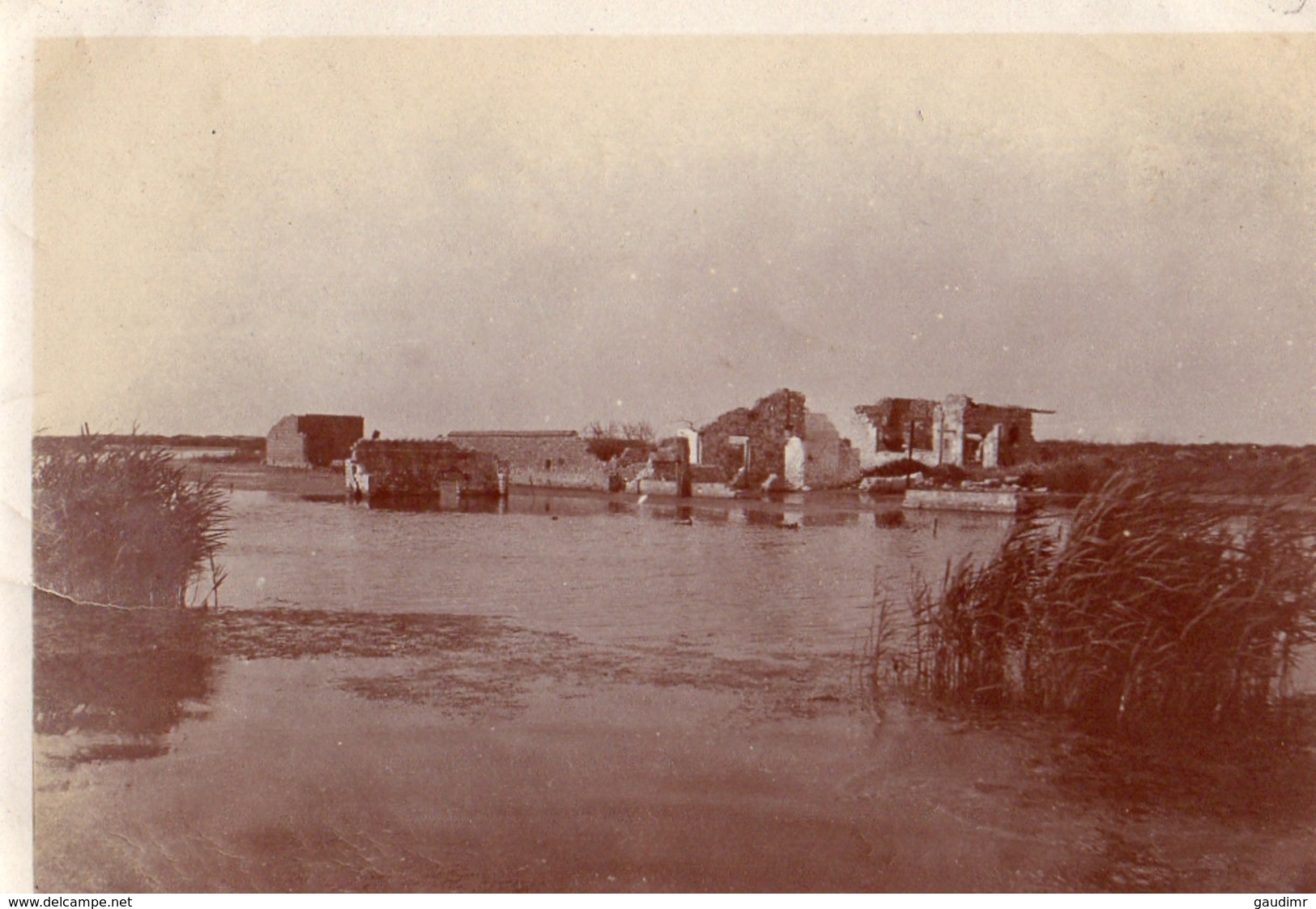 PHOTO BELGIQUE INONDATION CHAMP DE BATAILLE SECTEUR DE RAMPSCAPELLE PRES NIEUPORT BELGIQUE BELGIE 1917 GUERRE 1914 1918 - 1914-18