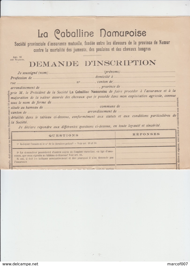 LA CABALLINE NAMUROISE - ASSURANCE PROVINCIALE-  ÉLEVEURS PROVINCE DE NAMUR - 2 DOCS - 1920 - Banque & Assurance