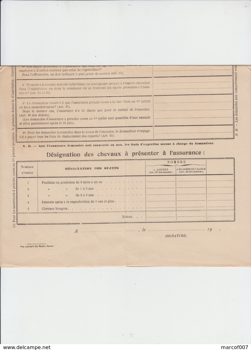 LA CABALLINE NAMUROISE - ASSURANCE PROVINCIALE-  ÉLEVEURS PROVINCE DE NAMUR - 2 DOCS - 1920 - Banca & Assicurazione