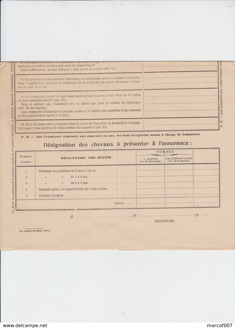 LA CABALLINE NAMUROISE - ASSURANCE PROVINCIALE-  ÉLEVEURS PROVINCE DE NAMUR - 2 DOCS - 1920 - Banque & Assurance